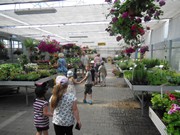 Celodenní výlet Mnichovo Hradiště